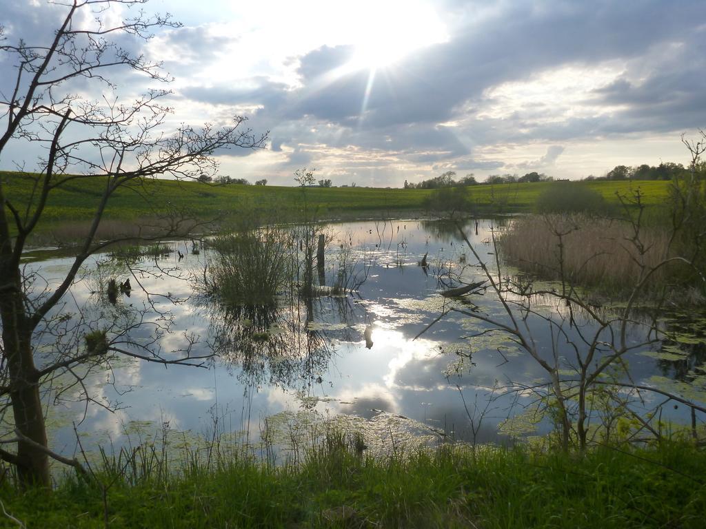 Das Haus Am Teich Gross Grabow ภายนอก รูปภาพ